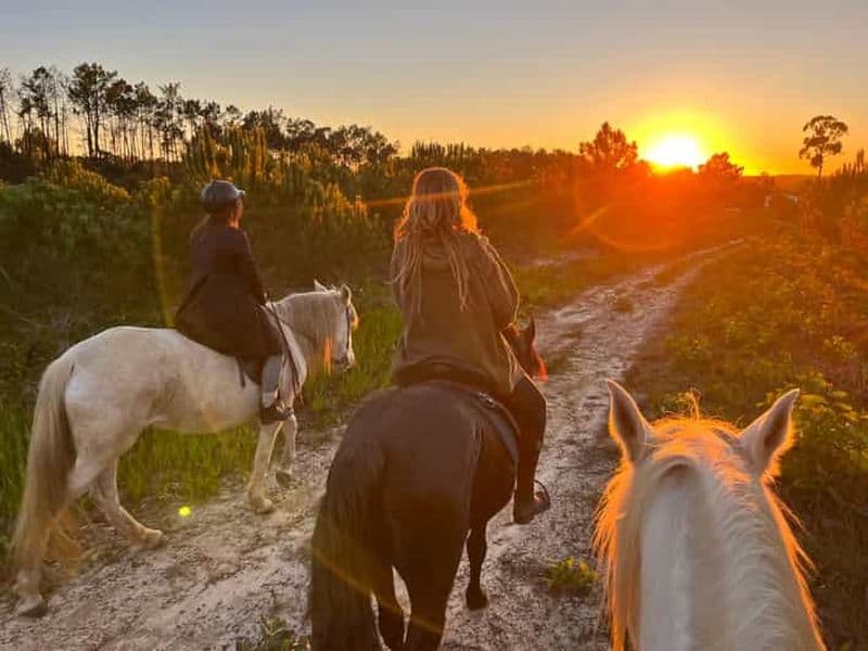 Randonnée équestre en Algarve dans la campagne d'Aljezur Rogil