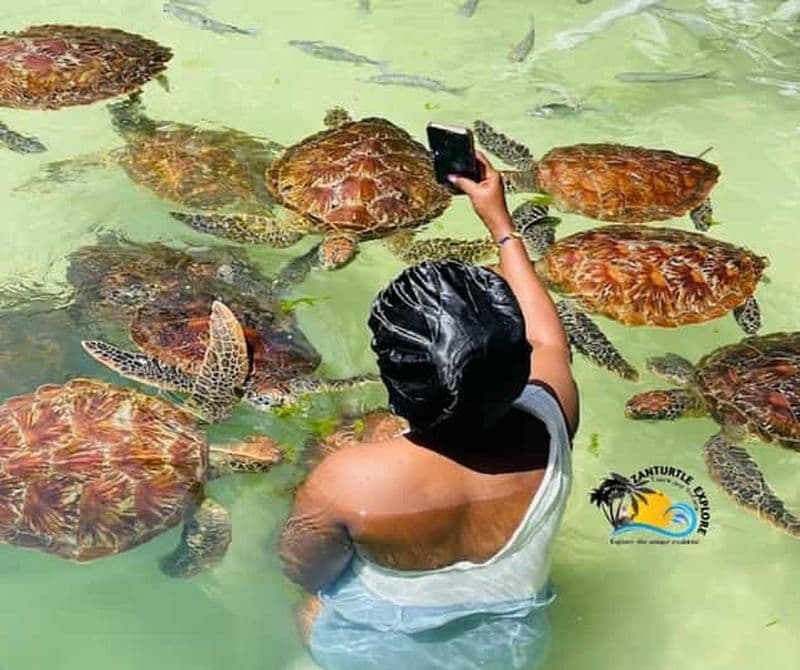 Billet Nungwi : Nager avec les tortues au Lagoons Zanzibar