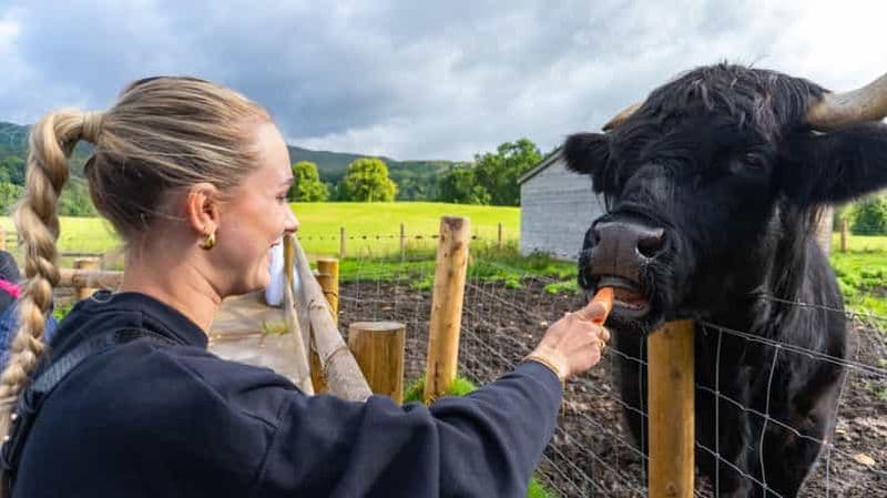 Billet Depuis Inverness : Le château de Cawdor, les cairns de Clava et les Cairngorms