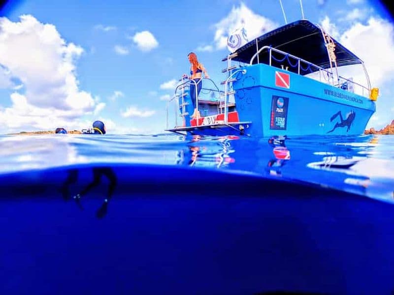 Minorque : Excursion safari de plongée en apnée