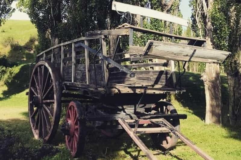 El Calafate : Visite pédestre de la ville accompagnée de vins