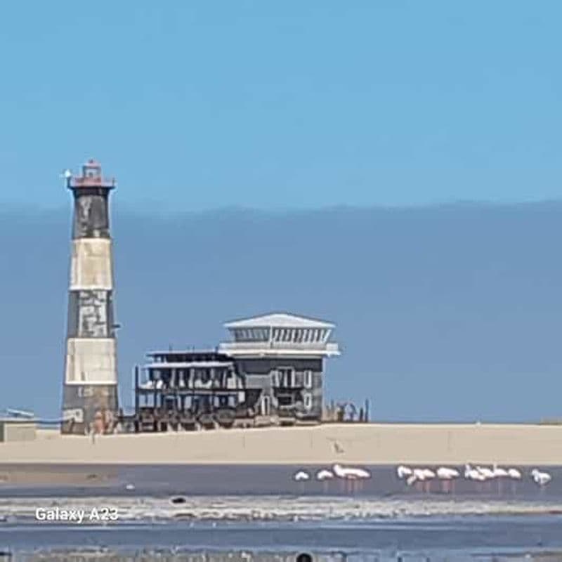 Croisière en catamaran avec observation des dauphins et visite de Sandwich Harbour