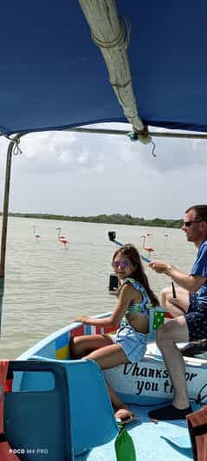 Billet Río Lagartos et Las Coloradas : visite privée de luxe