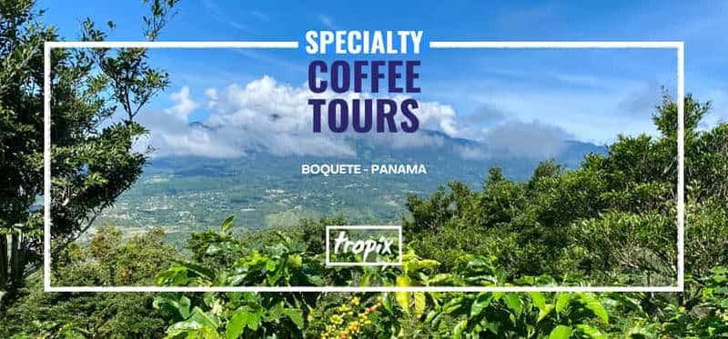 Billet Boquete, Panama : visite privée sur le thème du café