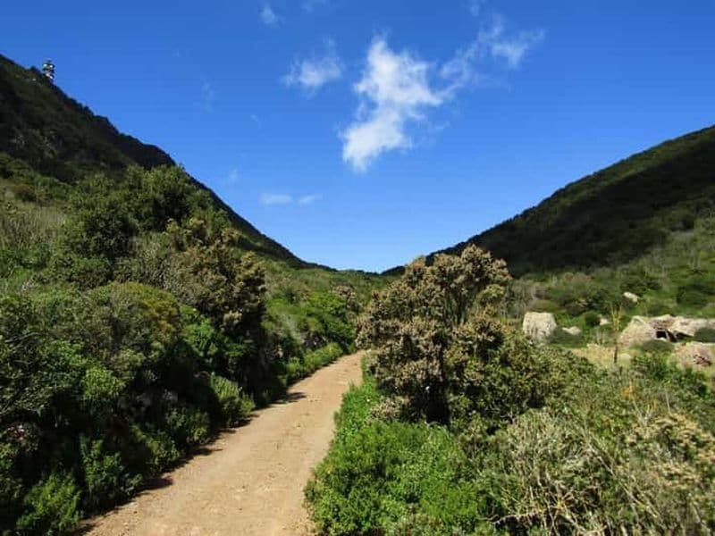 Billet Pantelleria : trek volcanique guidé et spa naturel