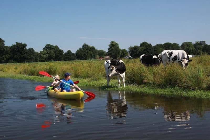 Billet Amsterdam : Visite guidée à vélo et en kayak dans la campagne