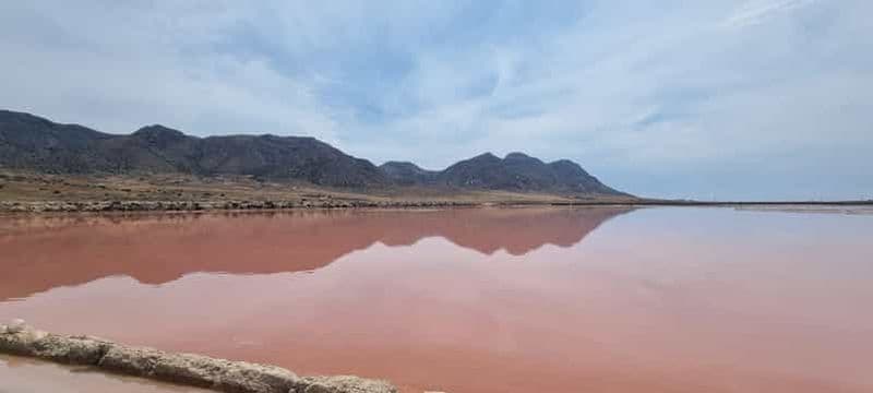 Billet VISITE GUIDÉE DES SALINES DE CABO DE GATA