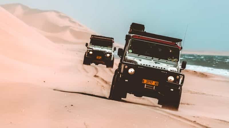 Walvis Bay : Croisière pour les dauphins, lacs roses et promenade en 4x4 dans les dunes