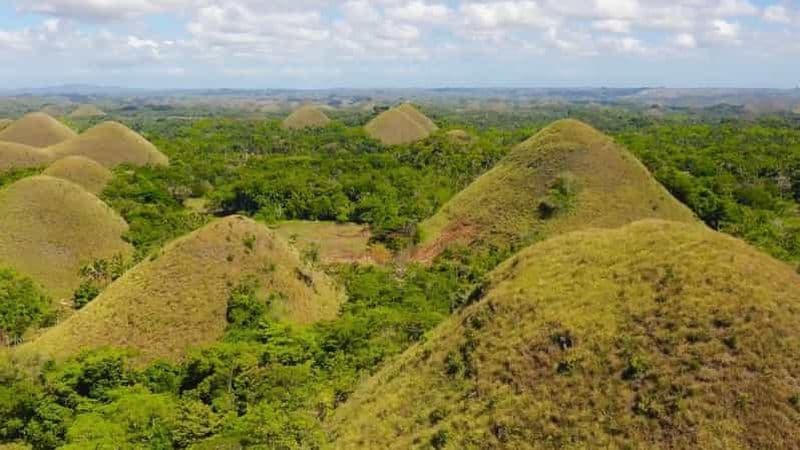 Bohol : Collines de chocolat, croisière sur la rivière Loboc et déjeuner buffet