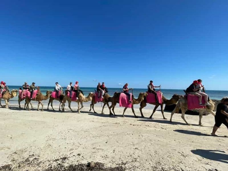 Djerba : promenade à dos de chameau et à cheval dans le lagon bleu.