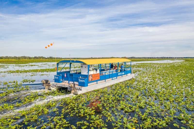 Billet Kissimmee : tour en bateau ponton d'une heure dans les Everglades de Floride