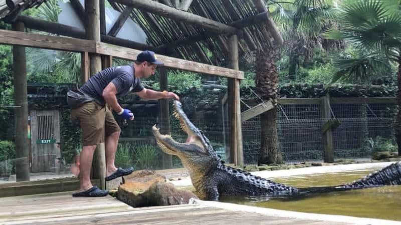 Billet Orlando : Billets pour le parc Wild Florida et spectacles d'alligators