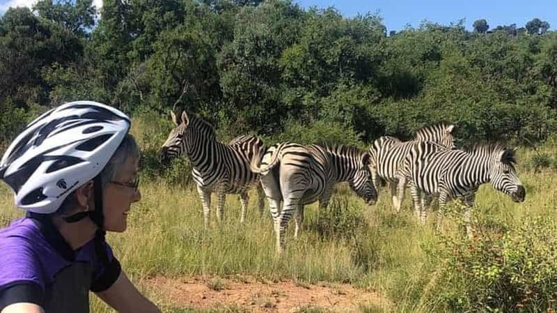 Billet Depuis Pretoria : E-Bike dans la nature avec du gibier près de Jo'burg