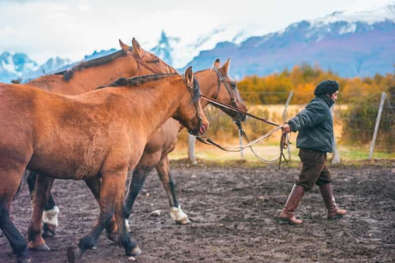 El Calafate : ranch Nibepo Aike avec balade à cheval