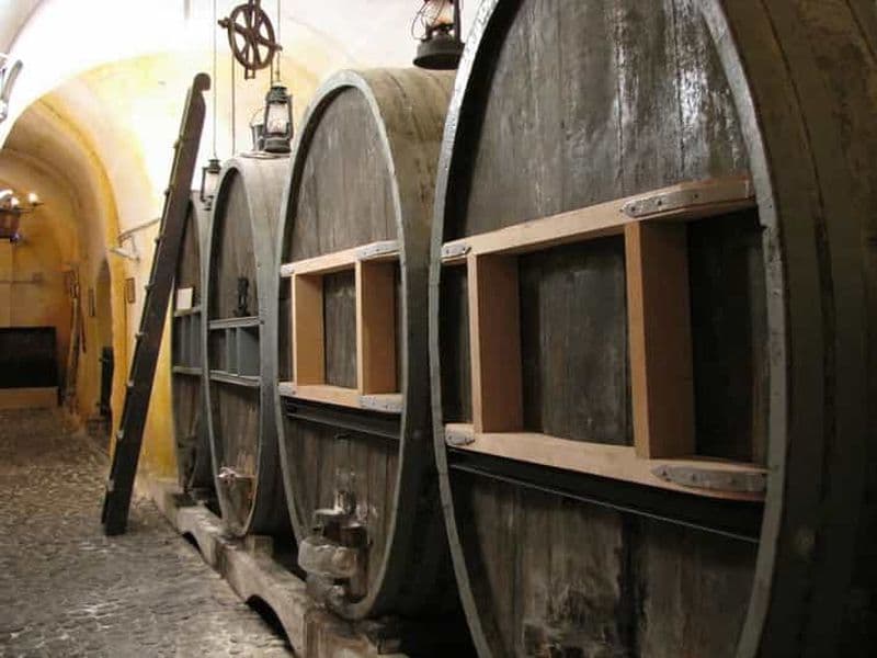 Billet Vothonas : Billet pour le musée du vin avec dégustations et audioguide