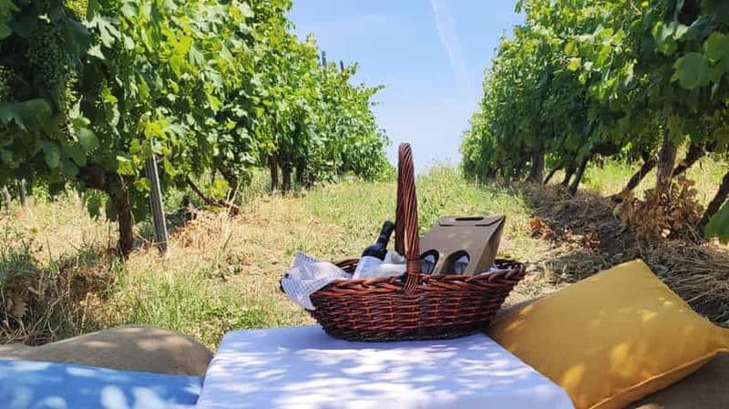 Billet Monferrato : visite du domaine viticole de Garetto et pique-nique privé
