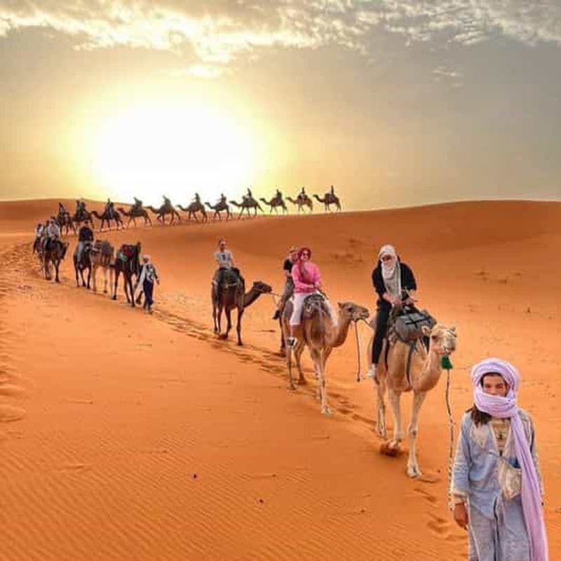 Billet Au départ de Marrakech : Circuit unique de 2 jours dans le désert de Zagora et balade à dos de chameau