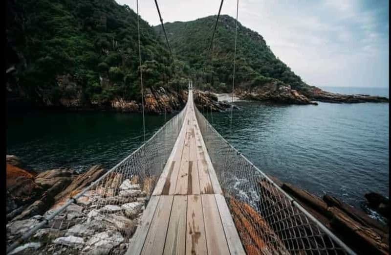 Billet Circuit de 2 jours sur la Garden Route au départ de Port Elizabeth - Tsitsikamma et Plett