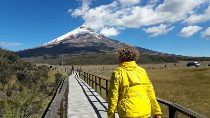 Depuis Quito : Visite d'une jounée du parc national du Cotopaxi avec randonnée