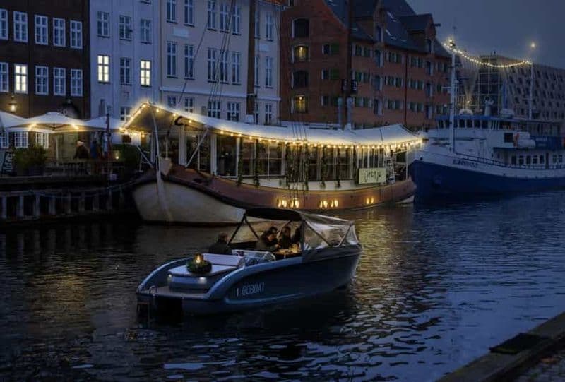 Billet Copenhague : Tour en bateau privé avec capitaine (Lite)