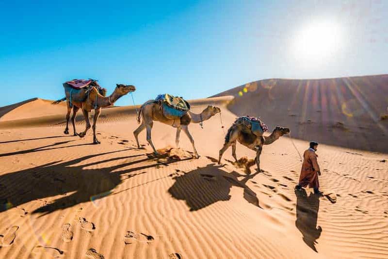 Billet De Fès à Marrakech : circuit découverte de 3 jours dans le Sahara