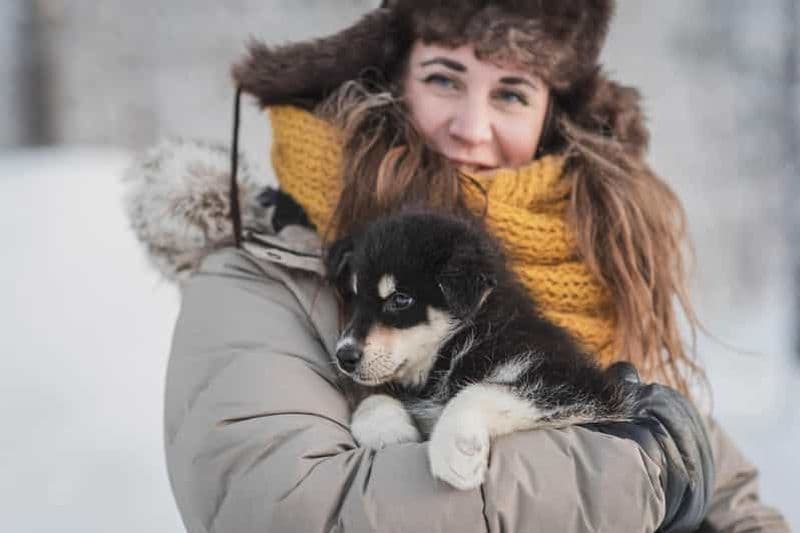 Levi : Visite de la ferme des chevaux et des huskys avec jus de fruits et biscuits