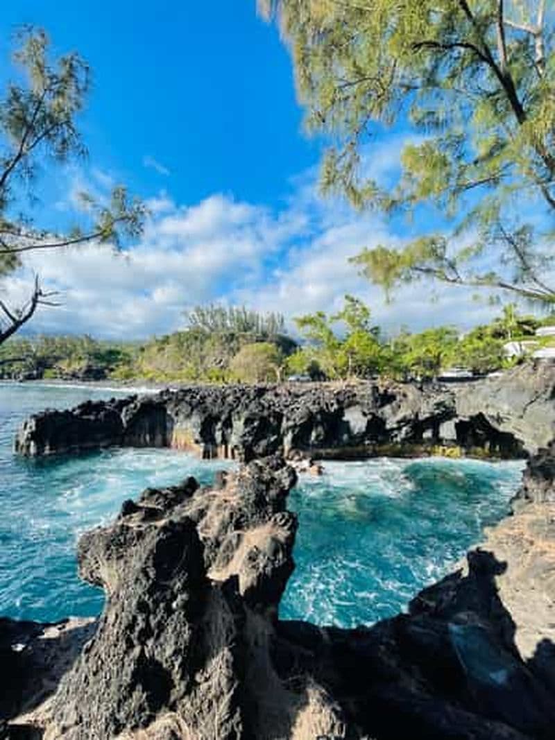 Billet La Réunion : Excursion privée d'une journée dans le sud sauvage avec chutes d'eau