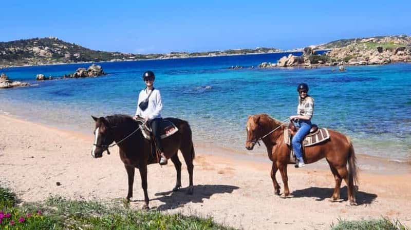 Au départ de Palau : visite en minibus et balade à cheval à La Maddalena