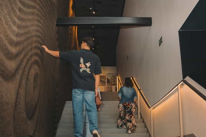 Billet Porto : Musée du liège : immersif et idéal pour les familles