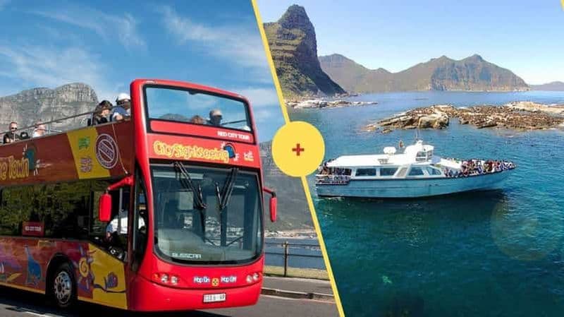 Billet Le Cap : bus à arrêts multiples et croisière Seal Island Adventure
