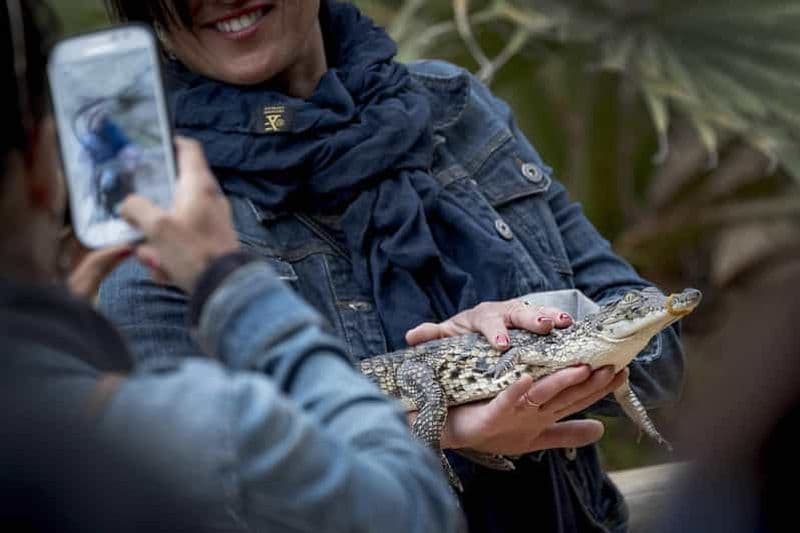 Billet Djerba : Exploration et parc aux crocodiles avec prise en charge pratique