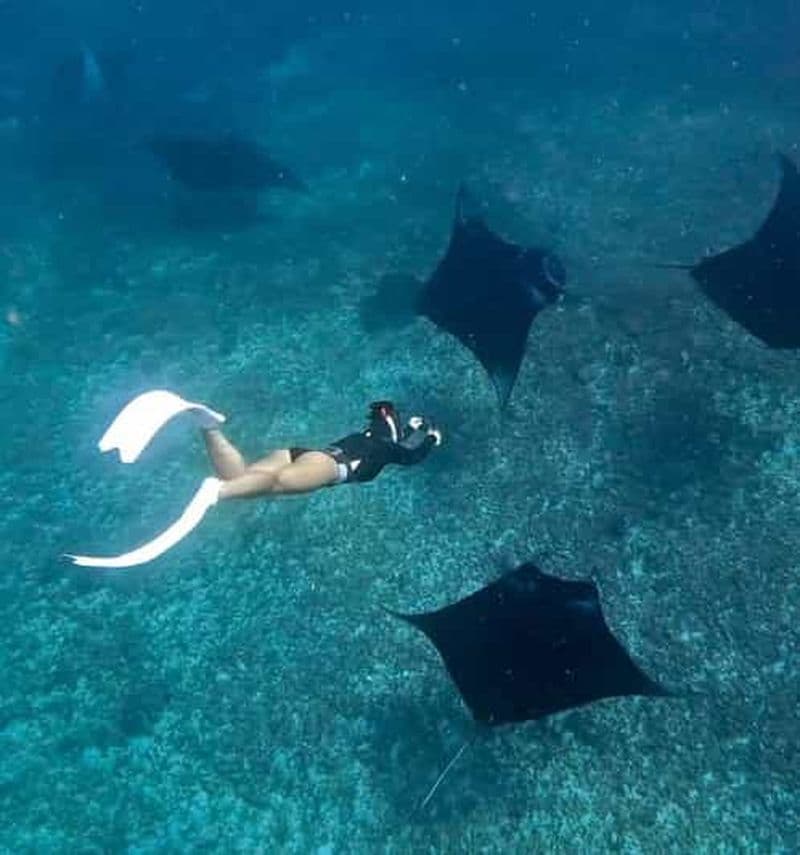 Depuis Bali : Plongée avec tuba à Manta Point Nusa Penida et excursion terrestre