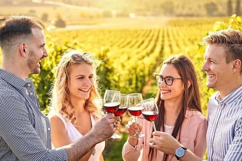 Billet Rhodes : Dégustation de vins à Embonas, la terre du vin de Rhodes