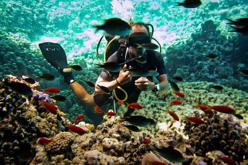 Billet Sharm El Sheikh : Ras Mohamed & White Island Snorkel ou plongée