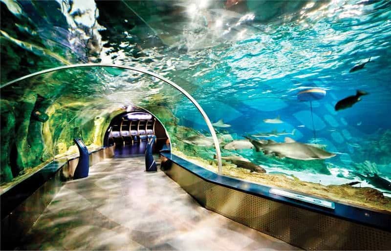 Billet Visite de l'aquarium d'Istanbul et du centre commercial Aqua Florya