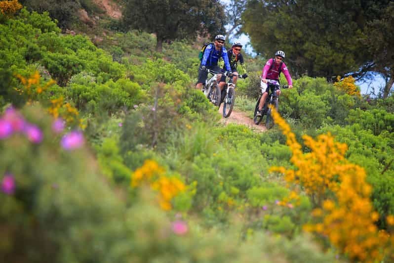 Ramatuelle : Circuit et dégustation dans un domaine viticole en VTT