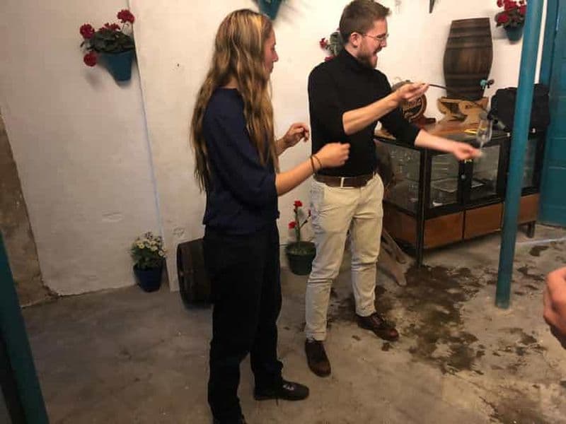 Dégustation de vins et de fromages