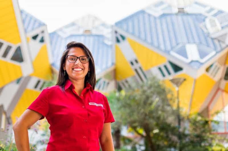 Billet Depuis Amsterdam : visite guidée d'une journée à Rotterdam, Delft et La Haye