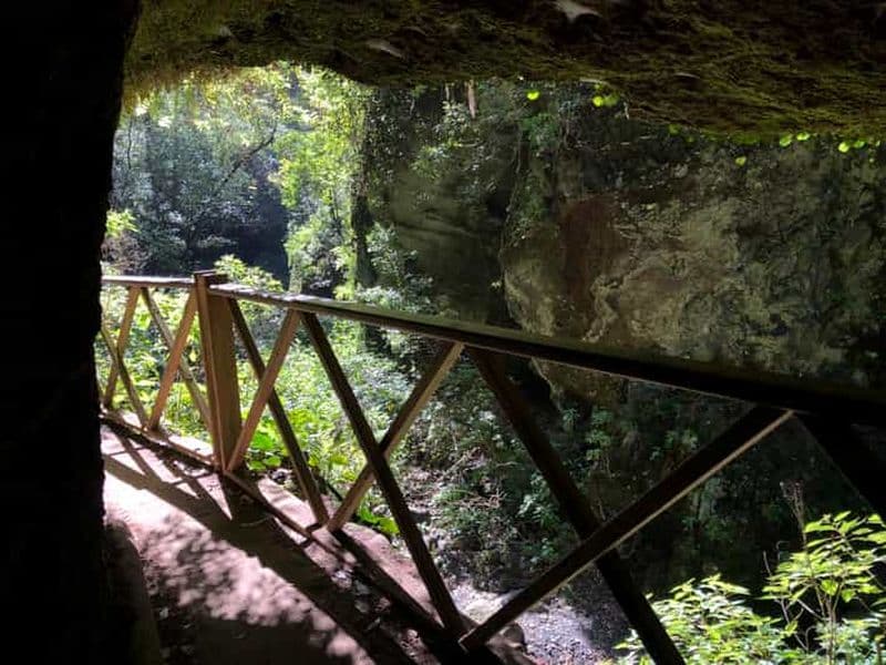 La Palma : visite en bus de l'île du Nord avec la distillerie Ron Aldea