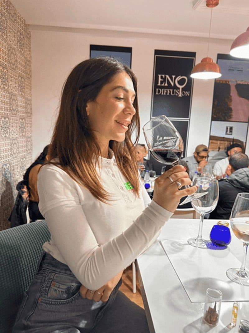 Depuis Madrid : Visite de Tolède avec dégustation de vin et 3 monuments