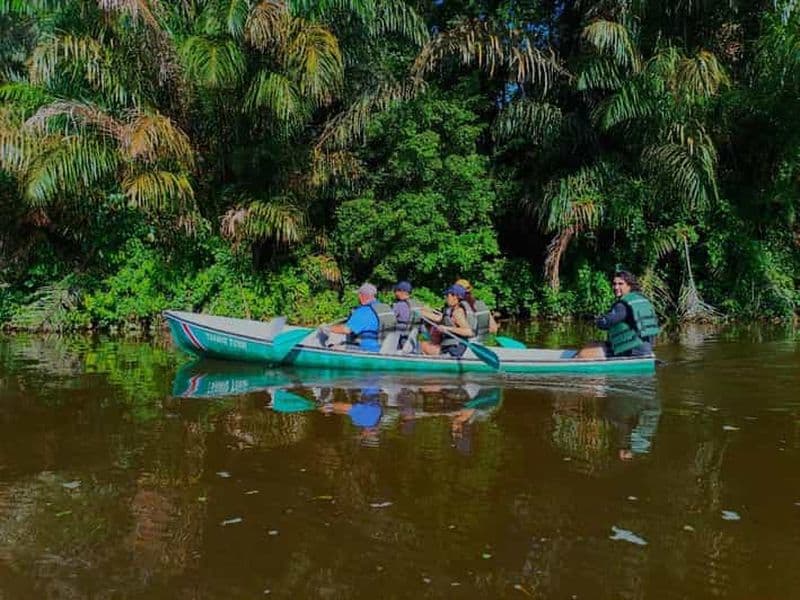 Billet Canoë, randonnée de nuit et de jour dans le parc national de Tortuguero