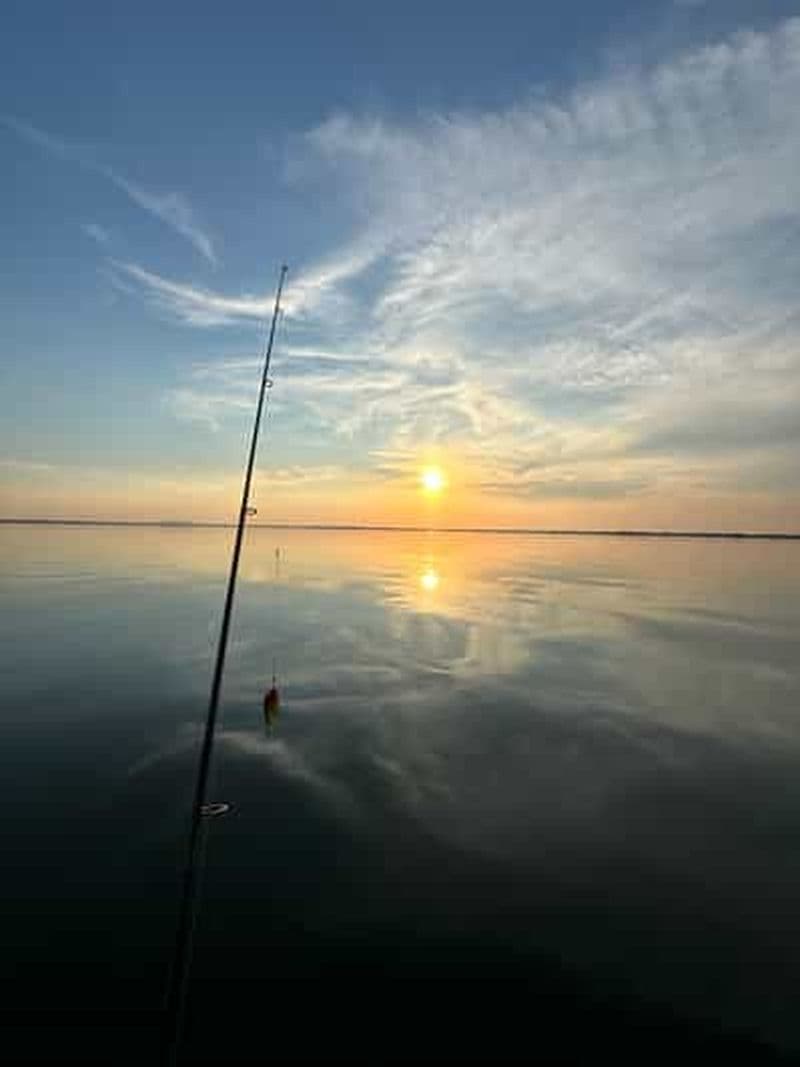 Delta du Danube : Location d'un bateau pour une journée entière d'aventure de pêche