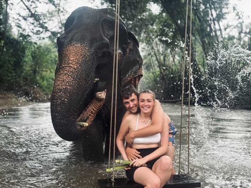 Billet Chiang Mai : sanctuaire des éléphants et atelier de cuisine thaï