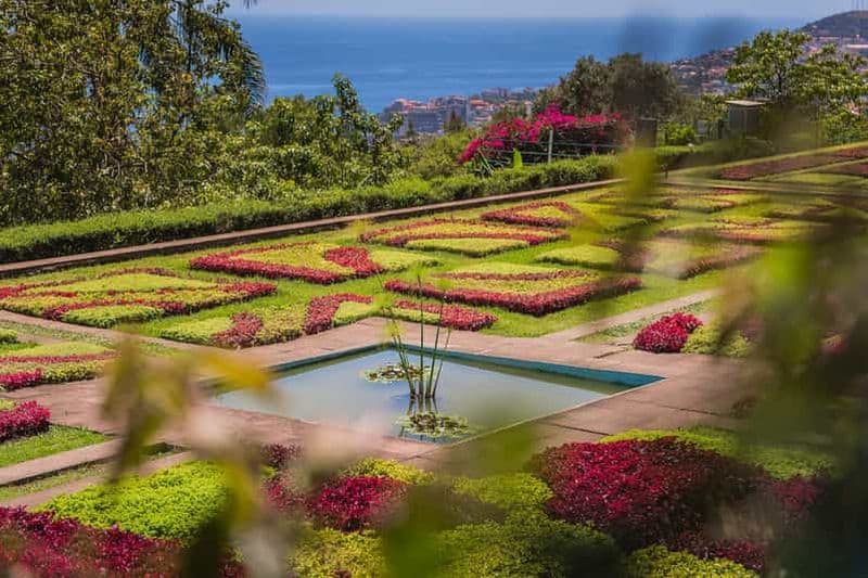 Billet Funchal : visite privée en tuk-tuk du jardin botanique et de la vieille ville