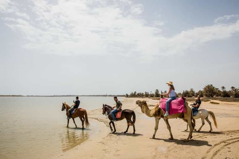 Hammamet : 3 heures à cheval et à dos de chameau avec dégustation de pain local