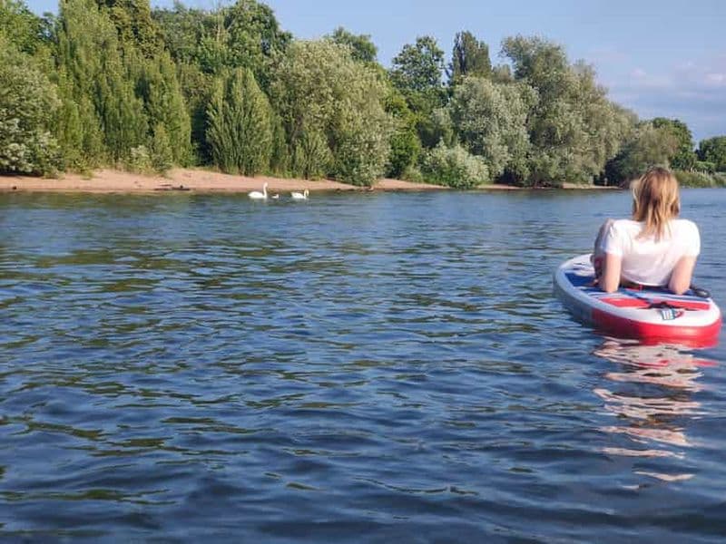 Mayence : excursion en stand up paddle sur le Rhin