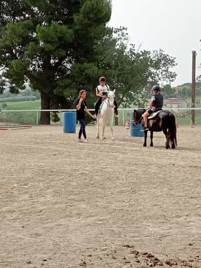 Recanati : Cours d'équitation pour enfants et adultes