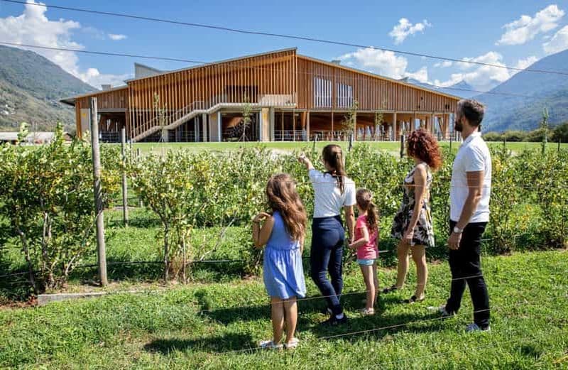Mantello : visite de la ferme et atelier de fabrication de fromage