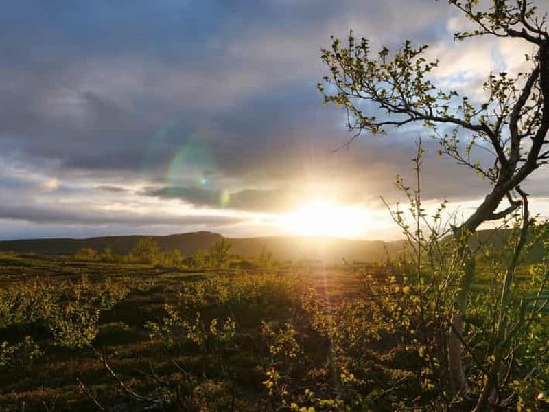 Excursion en VTT électronique dans les forêts de la taïga à Ivalo