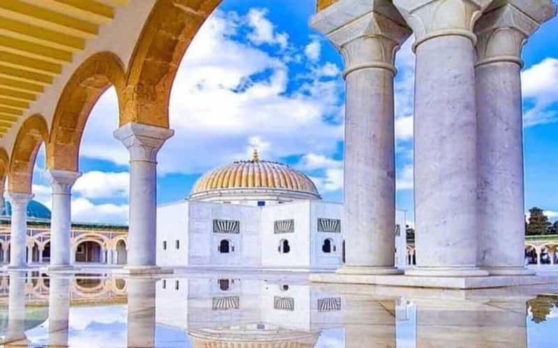 Billet Visite d'une demi-journée à Monastir